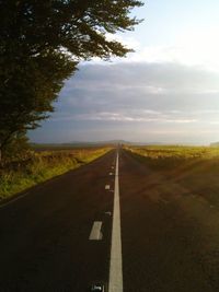 Empty road with trees in background