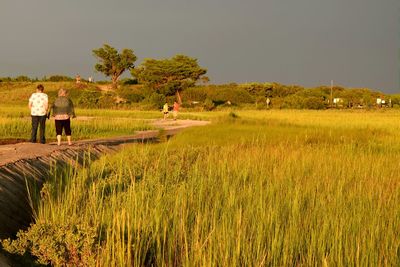 Rear view of woman standing on field