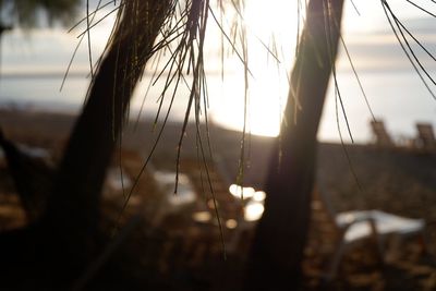 Close-up of sailboats on land against sky during sunset