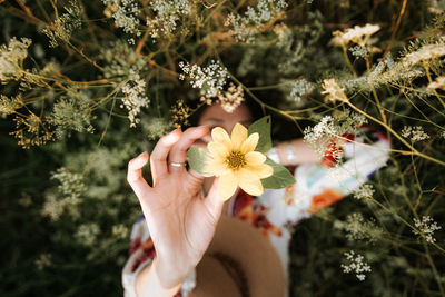 Midsection of person holding flowering plant