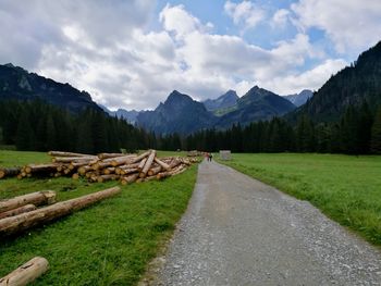 Stack of logs on road by mountains against sky