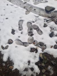 Snow covered landscape