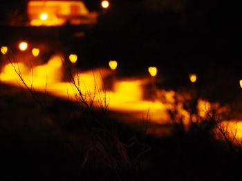 Close-up of silhouette plants against sky at night