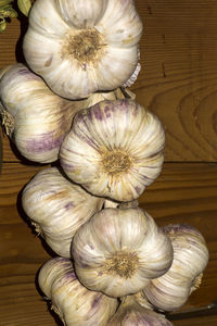 Close-up of food on wooden table