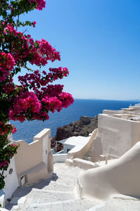 Street of Oia