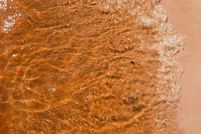 High angle view of bubbles on beach