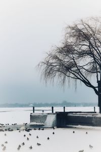 Scenic view of sea against clear sky during winter