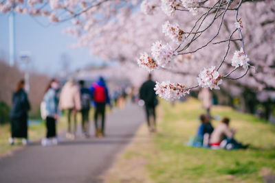 People walking on street