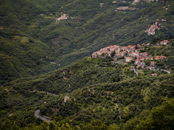 High angle view of trees and houses in forest