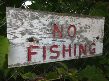 Close-up of sign board on tree