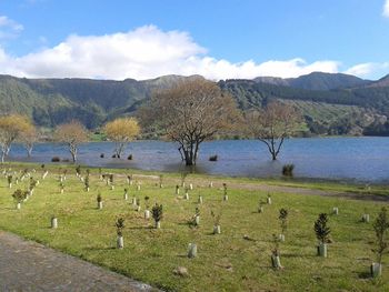 Scenic view of lake and mountains