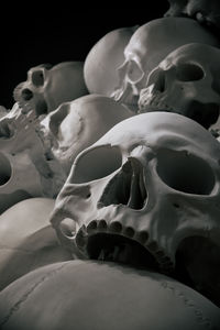 Close-up of human skull