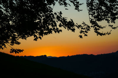 Silhouette trees against sky during sunset