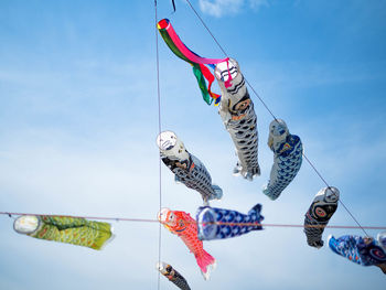 Low angle view of fish windsocks hanging against sky