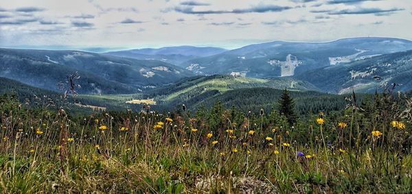 Scenic view of grassy field by mountains against sky