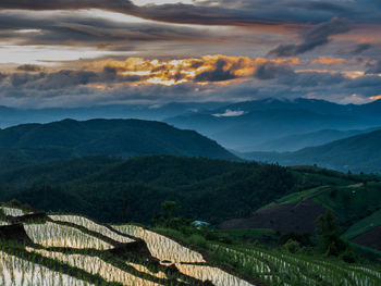 Scenic view of agricultural field against sky during sunset