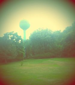 Street light and trees against sky