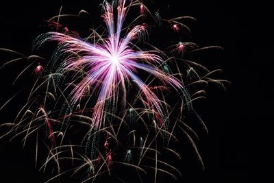 Low angle view of firework display against sky at night