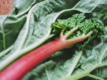 Full frame shot of vegetables