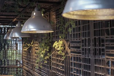 Low angle view of illuminated pendant light in cage