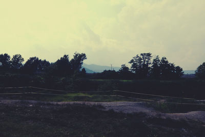 Trees on field against cloudy sky