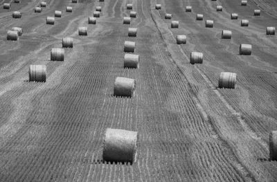 Straw bales in a harvested field in summer