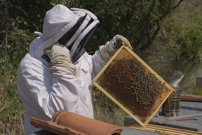 A thoughtful beekeeper happy of his work, risk of climate change