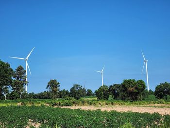 environmental conservation