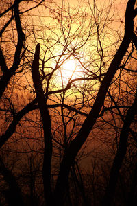 Low angle view of silhouette bare trees against sky at sunset