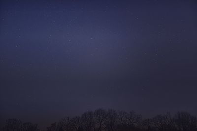 Low angle view of silhouette trees against sky at night