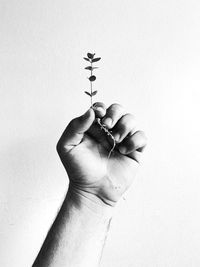 Close-up of person hand against white background