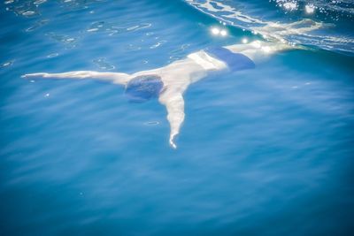 High angle view of swimming in sea