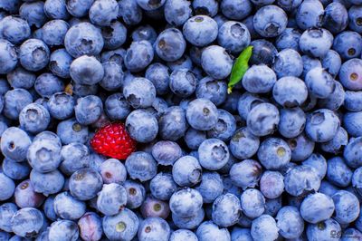 Full frame shot of blueberries for sale at market