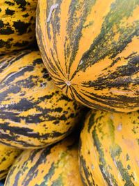 Full frame shot of pumpkin