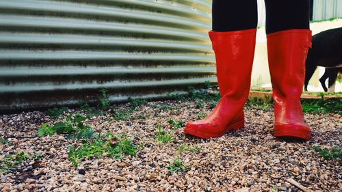 Low section of woman standing on ground