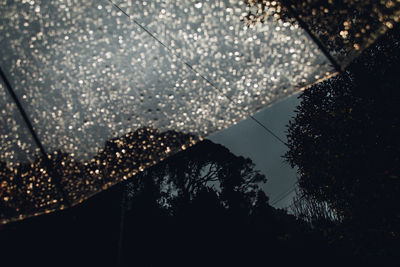 Low angle view of silhouette trees against sky during rainy season