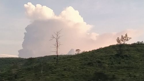 Panoramic view of land and trees against sky