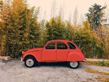 Red car on land against trees