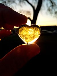 Close-up of hand holding glass