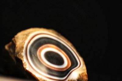 Close-up of spiral object over black background