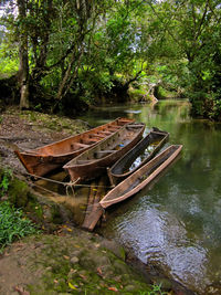 Abandoned boat in river amidst trees in forest