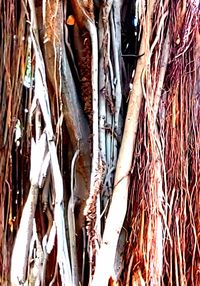 Full frame shot of dry leaves hanging at market