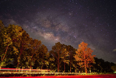 Trees on field against sky at night