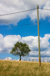 Trees on field against sky