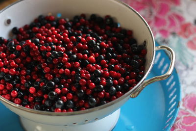 Close-up of fruit served in bowl