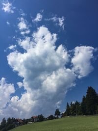 Low angle view of trees on field against sky