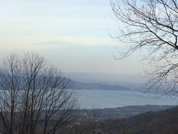 Bare trees on landscape against sky