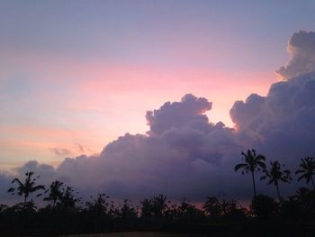 Palm trees at sunset