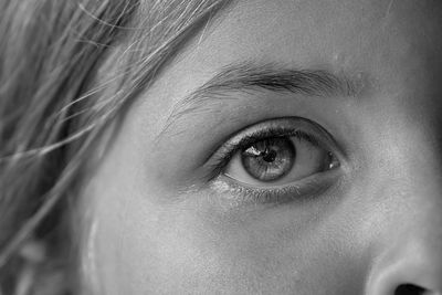 Close-up portrait of human eye