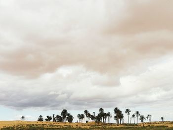 Trees on field against storm clouds